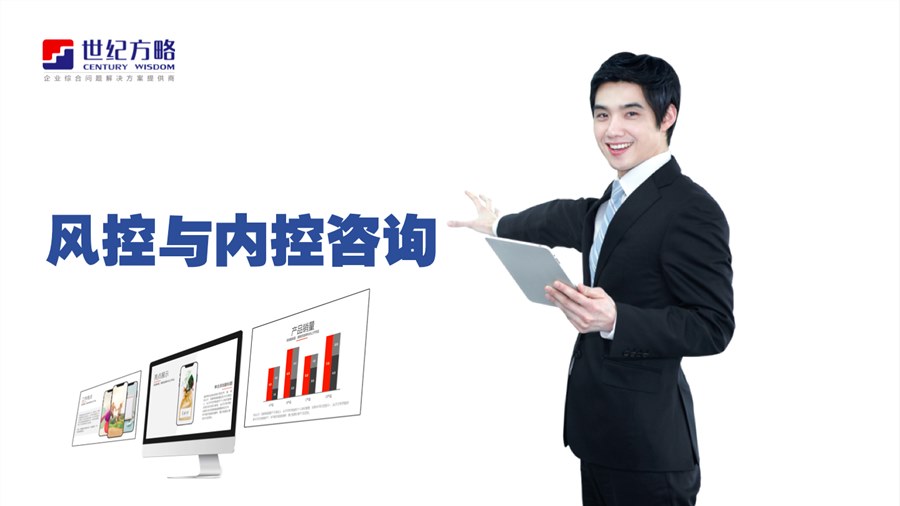 風(fēng)險(xiǎn)與內(nèi)控咨詢(xún)